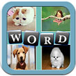 4張圖片1個單詞