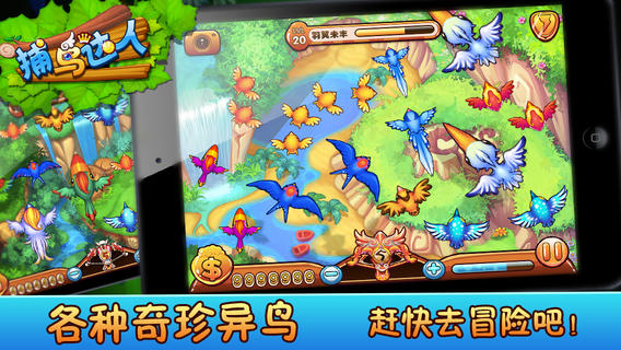 捕鳥達人2