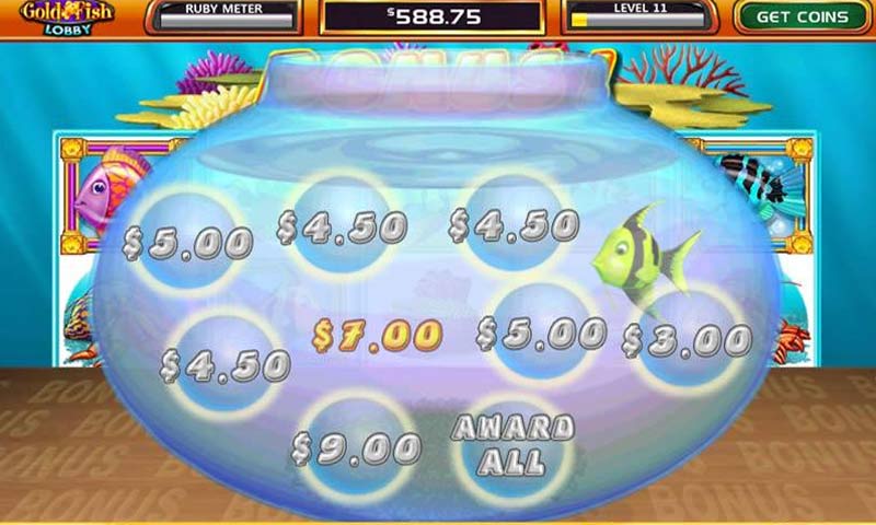 黃金魚