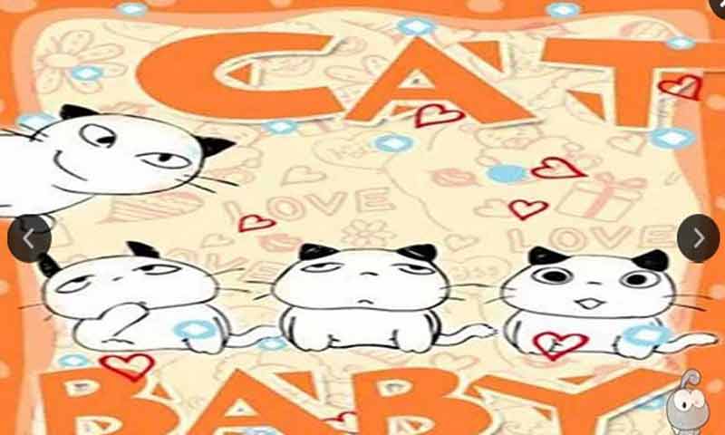 會(huì)說(shuō)話的可愛(ài)貓