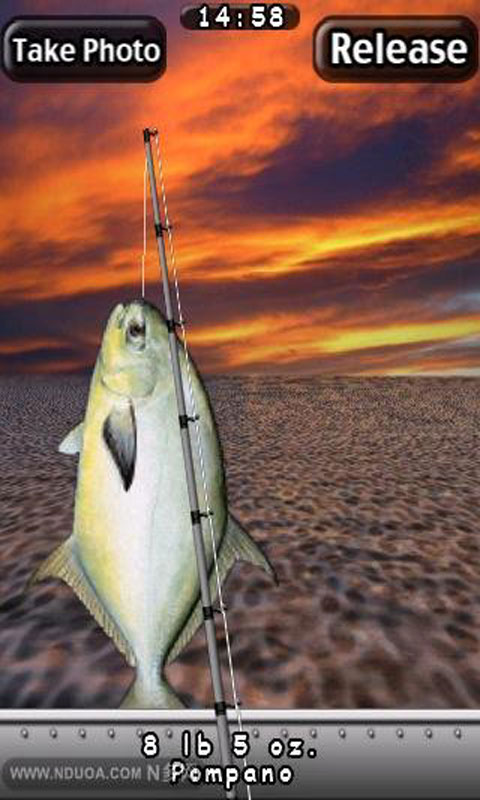 我愛(ài)釣海魚