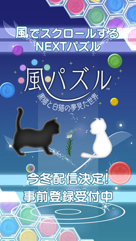風的謎題：黑貓白貓夢見的世界