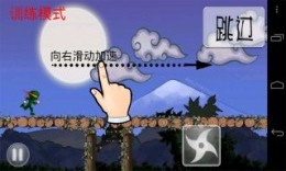 忍者突襲奢華版