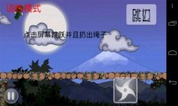 忍者突襲奢華版