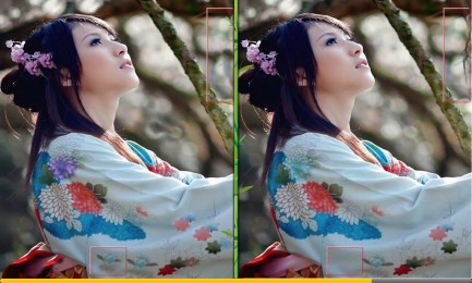 完美找茬