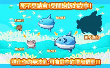 曼波魚(yú)