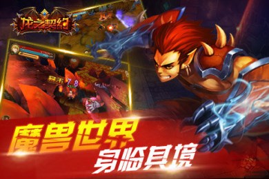 龍之契約