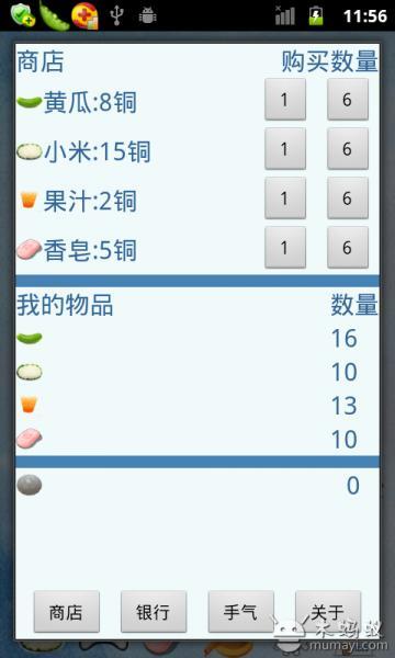 寵物阿貍