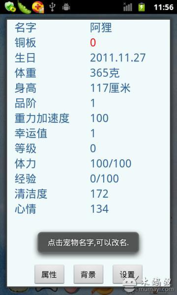 寵物阿貍