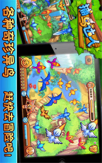 捕鳥達(dá)人