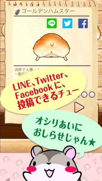 倉鼠小屁股 中文漢化版