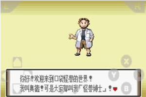 口袋妖怪幻影之翼