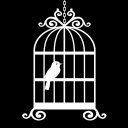 白雀 中文漢化版