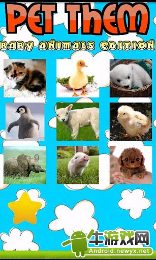 動物寶寶