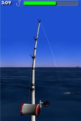 大海釣魚