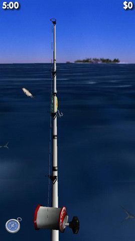 大型釣魚運(yùn)動