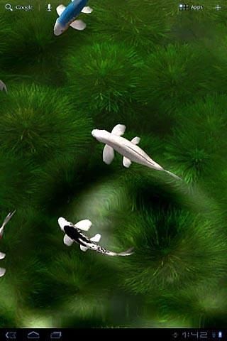 錦鯉動(dòng)態(tài)壁紙