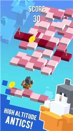 天空跳躍者