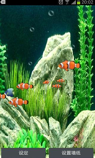3D小丑魚動態(tài)壁紙
