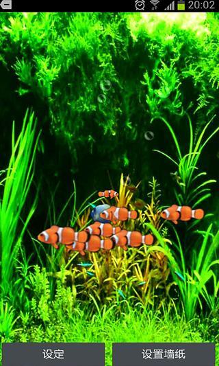 3D小丑魚動態(tài)壁紙