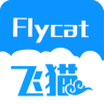 飞猫