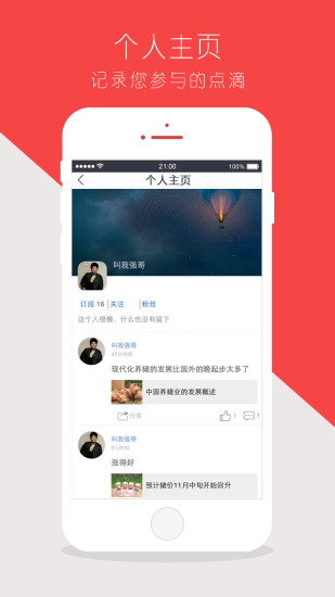 愛豬寶