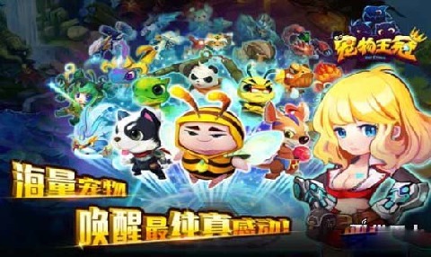 寵物王冠