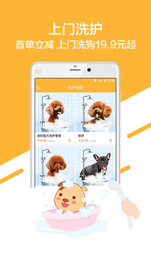 喵三汪四