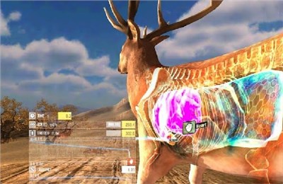 狩獵野生動物