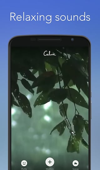 靜靜Calm直裝捐贈(zèng)專業(yè)完整中文版