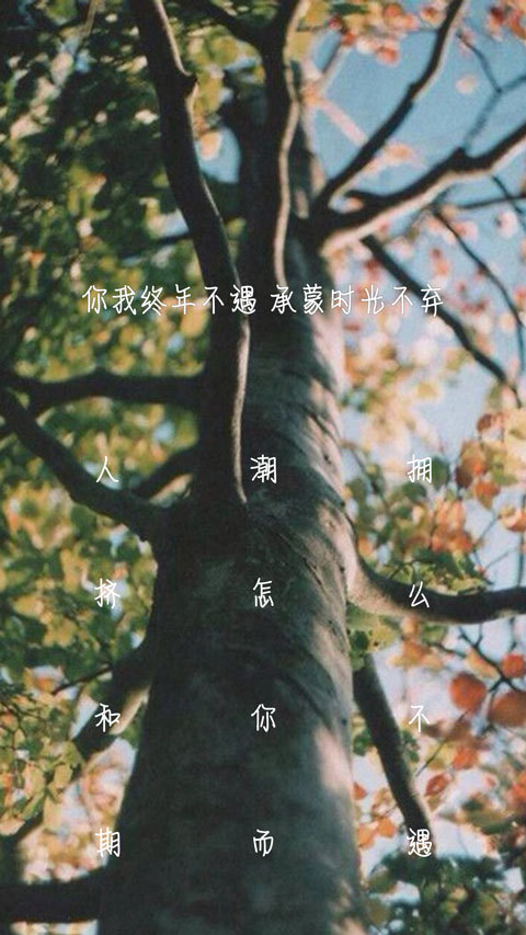 紋字鎖屏