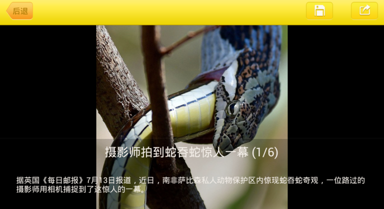 新浪新聞TV版
