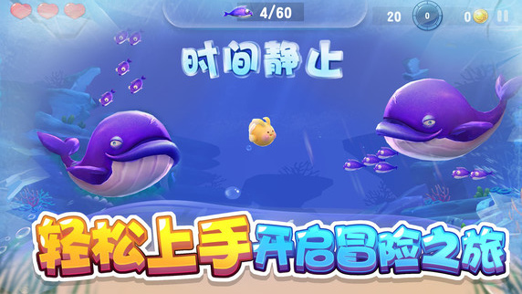 大魚來了