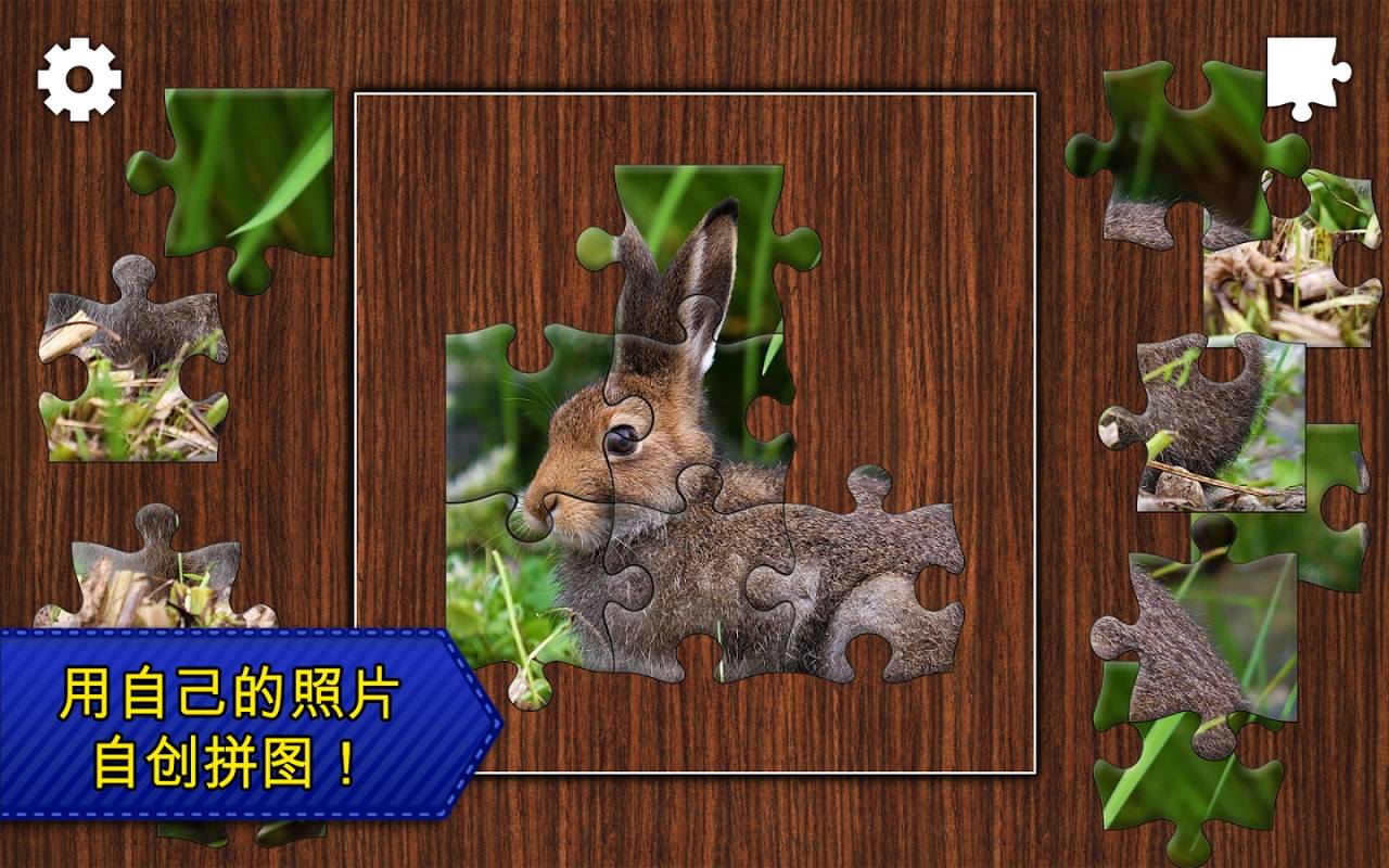 拼圖傳奇 解鎖高級(jí)版