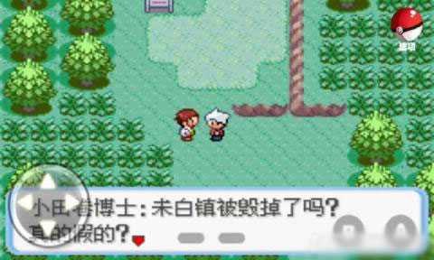 口袋妖怪：蛇紋木 漢化版