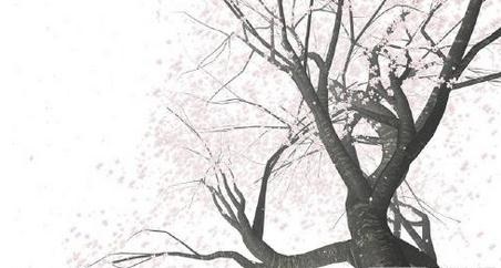 櫻花VR版
