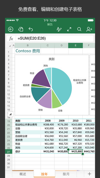 Microsoft Excel