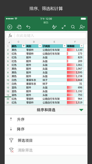 Microsoft Excel