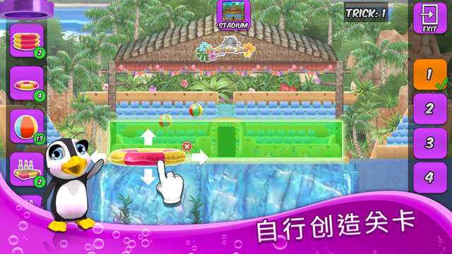 我的海豚表演