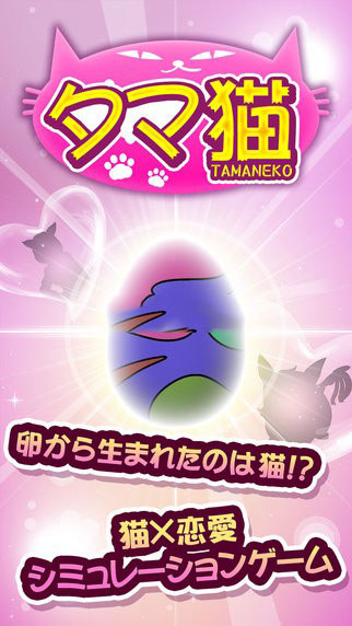 蛋蛋貓