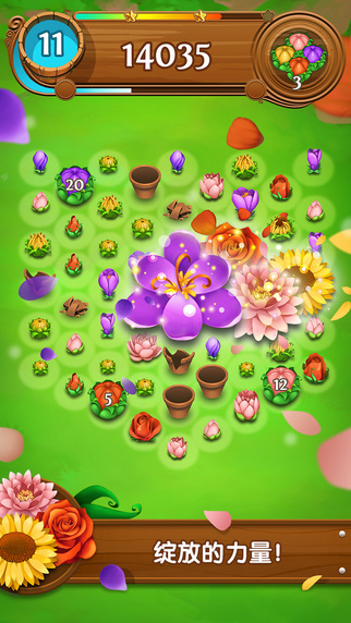 花花傳奇