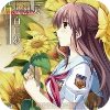 車輪之國(guó)向日葵的少女