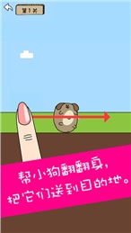 小動(dòng)物轉(zhuǎn)轉(zhuǎn)