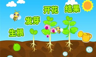 奇妙的種子
