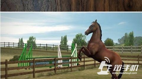我的馬 My Horse