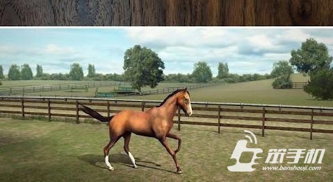 我的馬 My Horse