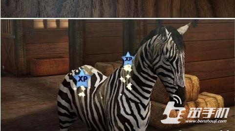 我的馬 My Horse