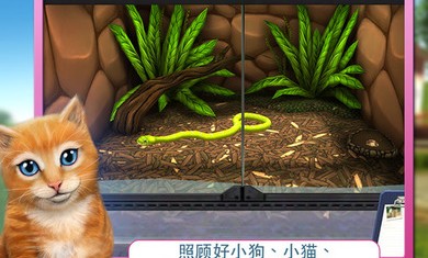 寵物世界3D：我的動物救援所
