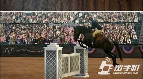 我的馬 My Horse