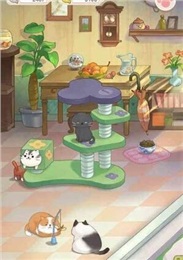 貓宅日記